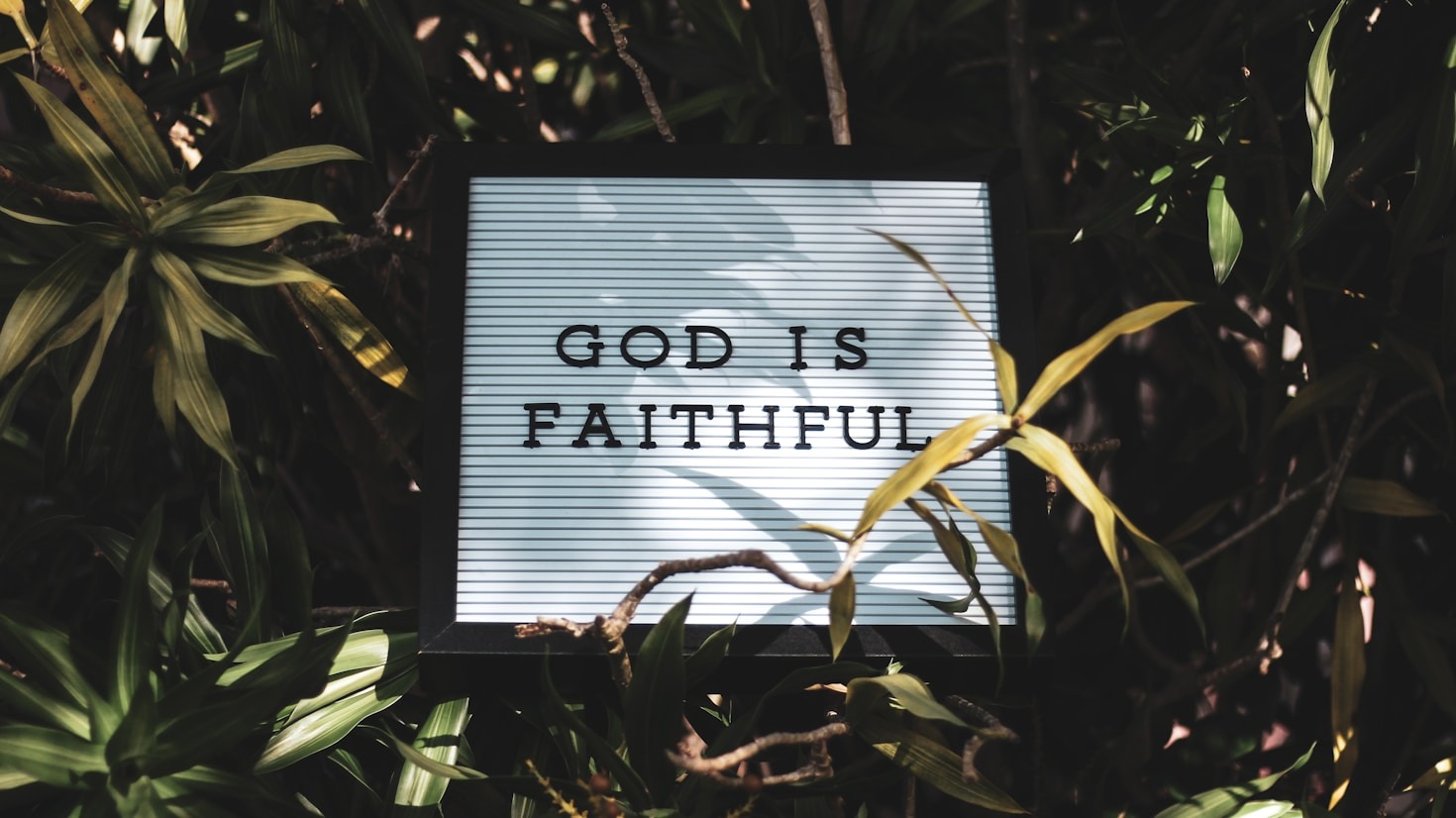 How to Start a Community Faith Garden
