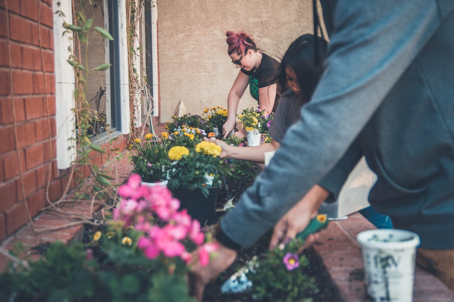 Faith-Based Gardening Tips for Beginners