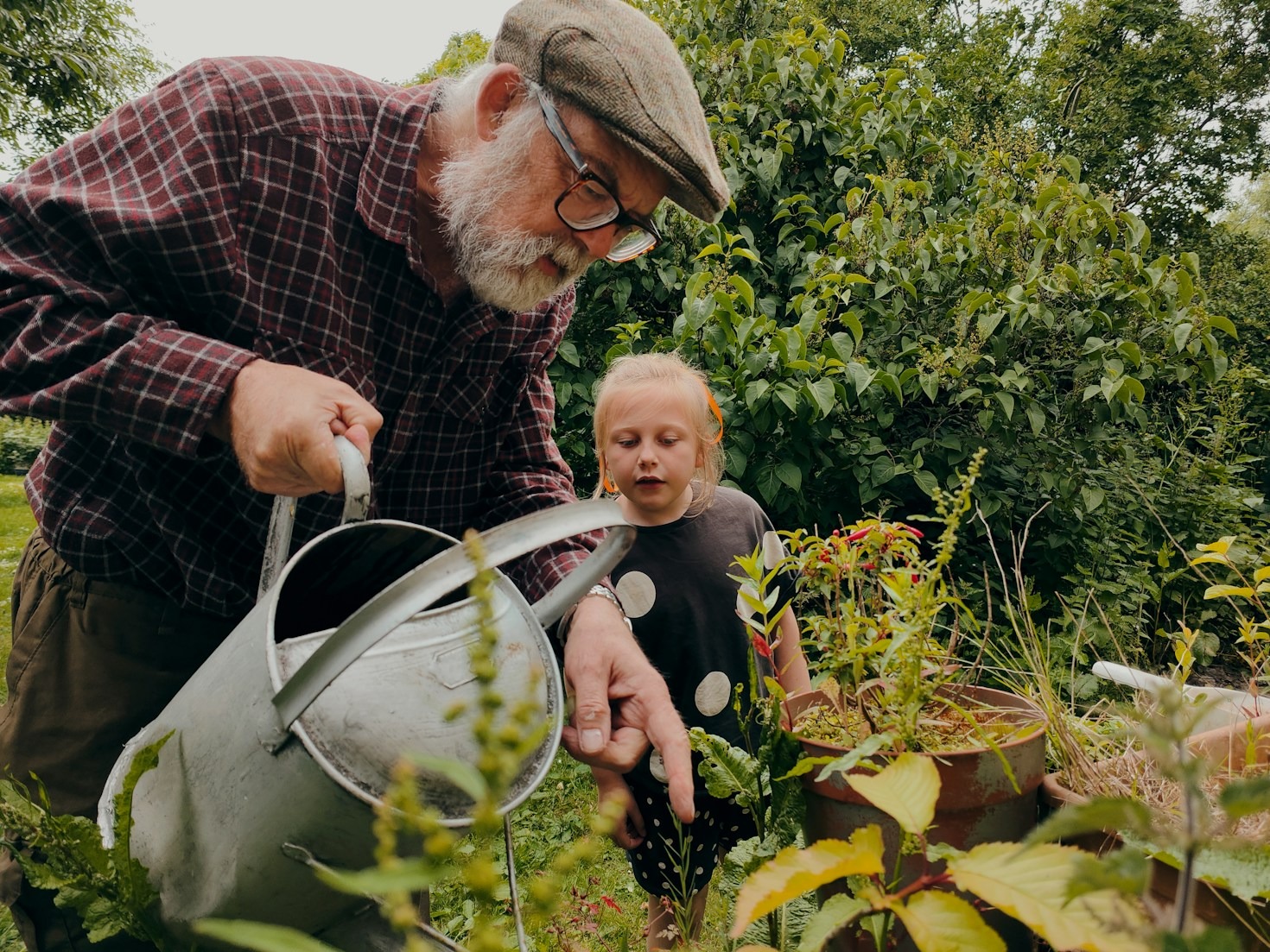 Why Gardening is a Path to Inner Peace