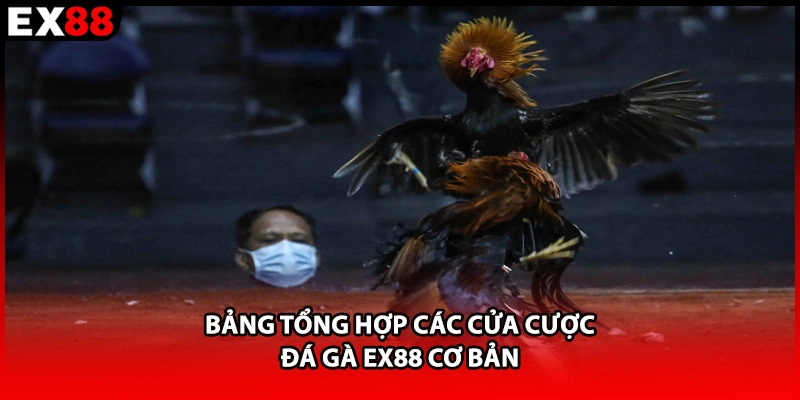 Bảng tổng hợp các cửa cược đá gà EX88 cơ bản